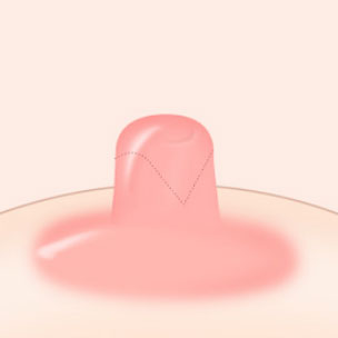 콘텐츠 이미지