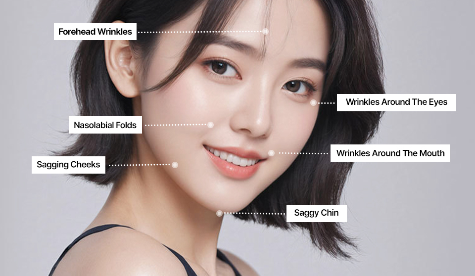 콘텐츠 이미지