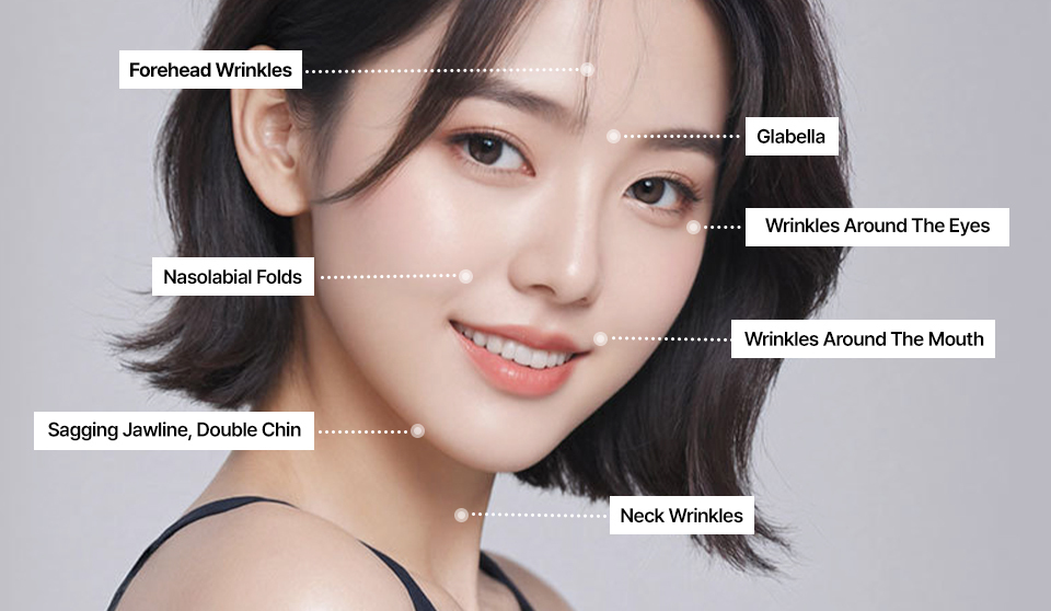 콘텐츠 이미지